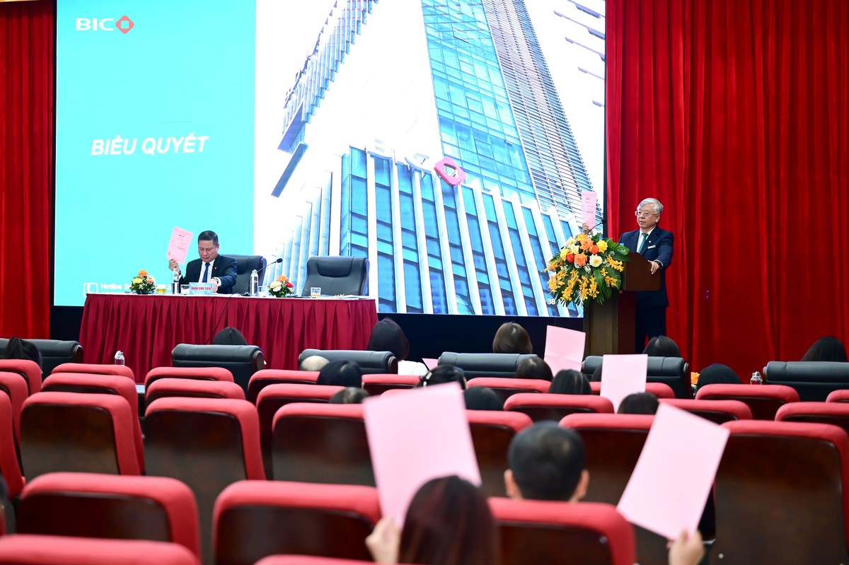 Đại hội đồng cổ đông BIC biểu quyết thông qua kế hoạch và lộ trình tăng vốn Đại hội đồng cổ đông BIC biểu quyết thông qua kế hoạch và lộ trình tăng vốn