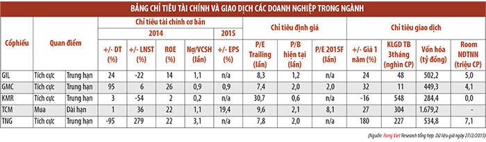Dệt may 2015 dự báo tiếp tục tăng trưởng tốt ảnh 1