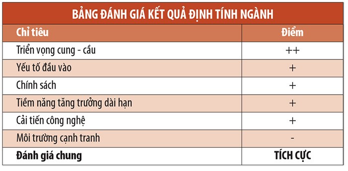Dệt may 2015 dự báo tiếp tục tăng trưởng tốt ảnh 5