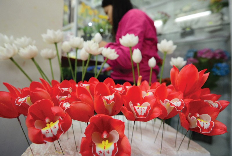 Hoa đất - thú chơi độc đáo ngày Tết ảnh 3 Hoa đất - thú chơi độc đáo ngày Tết ảnh 3