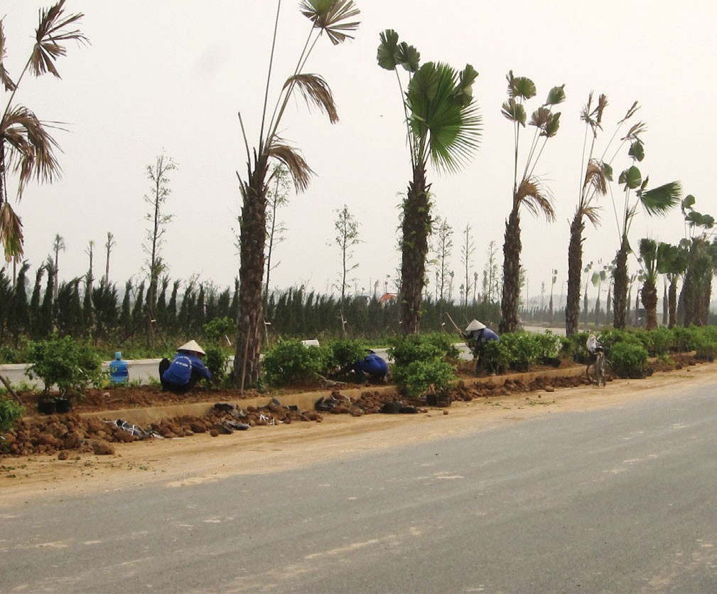 Cận cảnh Dự án Nam An Khánh vừa được Sudico bán 2.600 tỷ đồng ảnh 3