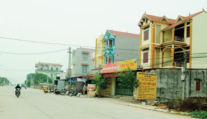 Xuân sớm trên quê hương Trí Yên ảnh 3 Xuân sớm trên quê hương Trí Yên ảnh 3