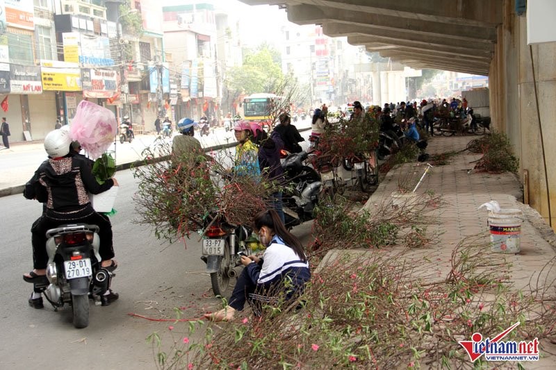 Người Hà Nội chen chân đi phiên chợ cuối cùng của năm ảnh 22