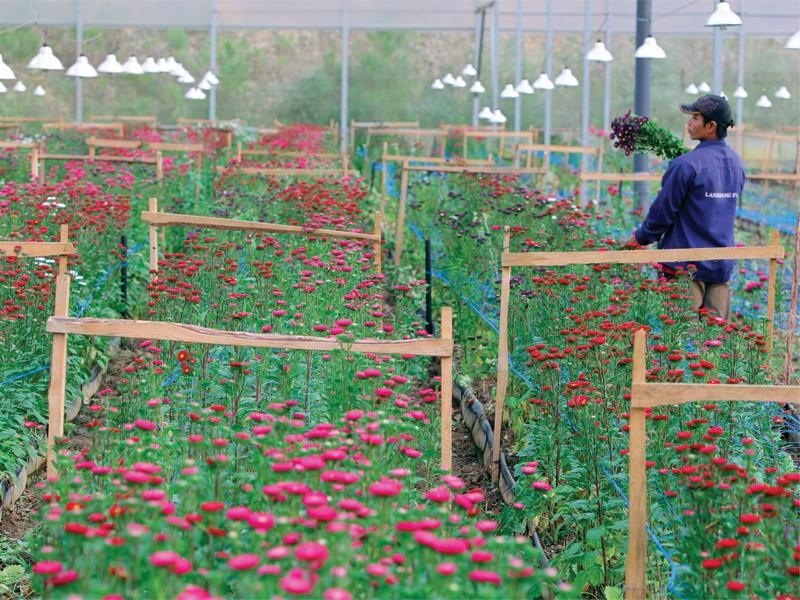 Thay vì lo cho tổng cầu, đã đến lúc phải trọng cung để thúc đẩy sản xuất ảnh 1 Thay vì lo cho tổng cầu, đã đến lúc phải trọng cung để thúc đẩy sản xuất ảnh 1