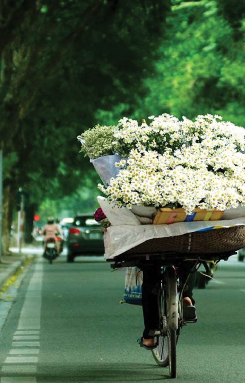 Hà Nội và những mùa ru ký ức ảnh 2 Hà Nội và những mùa ru ký ức ảnh 2