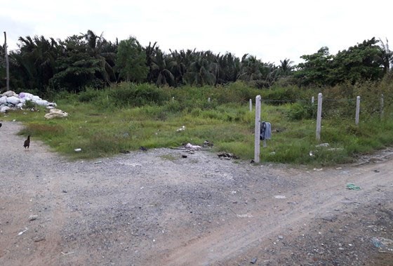 “Sóng ngầm” phân khúc biệt thự, nhà vườn TP.HCM ảnh 1 “Sóng ngầm” phân khúc biệt thự, nhà vườn TP.HCM ảnh 1