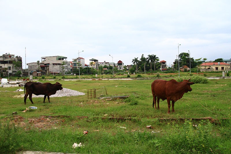 Bất động sản Sơn Tây còn say ngủ ảnh 1