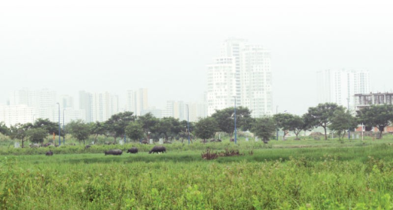 Khi chủ đầu tư “xí phần” đất làm dự án rồi để đó ảnh 1 Khi chủ đầu tư “xí phần” đất làm dự án rồi để đó ảnh 1