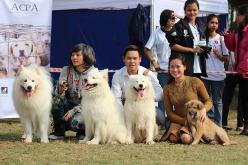 Gợi ý hoạt động du xuân 'kín' lịch nghỉ Tết cho người Sài Gòn ảnh 7 Gợi ý hoạt động du xuân 'kín' lịch nghỉ Tết cho người Sài Gòn ảnh 7