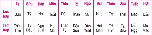 Chọn người hợp tuổi để xông đất, mở hàng đầu năm 2018 ảnh 1 Chọn người hợp tuổi để xông đất, mở hàng đầu năm 2018 ảnh 1