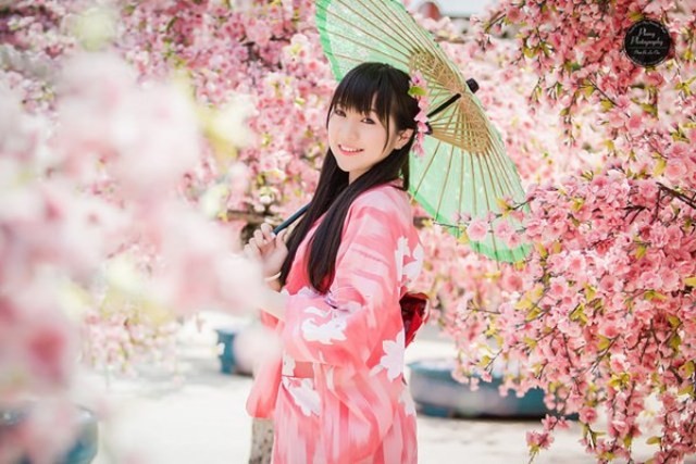 Lễ hội hoa anh đào Nhật Bản - Hà Nội 2019 sẽ diễn ra trong 3 ngày ảnh 1 Lễ hội hoa anh đào Nhật Bản - Hà Nội 2019 sẽ diễn ra trong 3 ngày ảnh 1