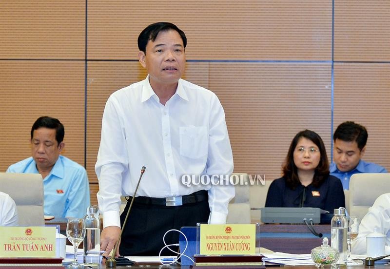 Có cần thiết lập Quỹ phòng chống thiên tai ở Trung ương? ảnh 1 Có cần thiết lập Quỹ phòng chống thiên tai ở Trung ương? ảnh 1