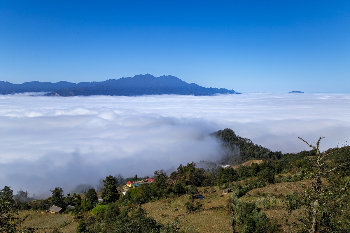 Mùa vàng Y Tý ảnh 6