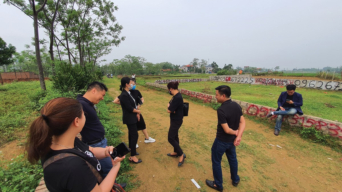 Sốt ảo đất nền Hòa Lạc, chính quyền thờ ơ ảnh 1 Sốt ảo đất nền Hòa Lạc, chính quyền thờ ơ ảnh 1