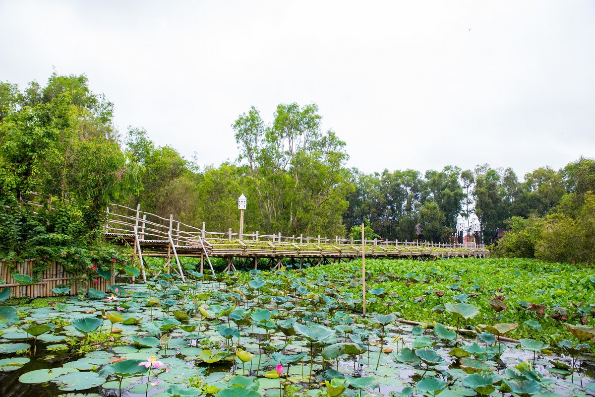 Đặc biệt, vào tháng 10, hoa sen, hoa súng sẽ nở rộ một góc rừng Tràm, mùi hương ngạt ngào của loài hoa tinh khiết này sẽ cho bạn cảm giác an nhiên. Đặc biệt, vào tháng 10, hoa sen, hoa súng sẽ nở rộ một góc rừng Tràm, mùi hương ngạt ngào của loài hoa tinh khiết này sẽ cho bạn cảm giác an nhiên.