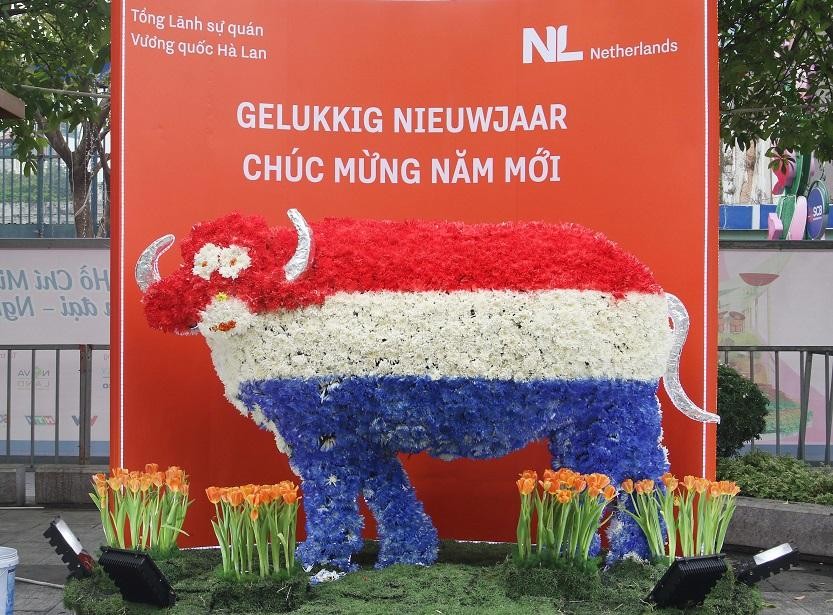 Ấn tượng với chú trâu hoa của Tổng lãnh sự quán Vương quốc Hà Lan