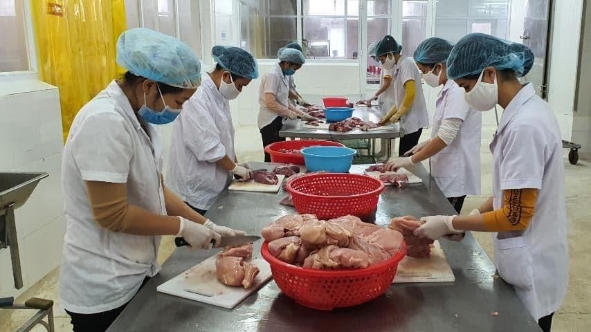 Bavabi đã rất nổi tiếng, không chỉ tại Quảng Ninh, mà còn trong ngành thực phẩm khi tiên phong trong lĩnh vực chế biến các sản phẩm ăn liền cao cấp từ hải sản, như ruốc hàu, ruốc cá, ruốc tép… Bavabi đã rất nổi tiếng, không chỉ tại Quảng Ninh, mà còn trong ngành thực phẩm khi tiên phong trong lĩnh vực chế biến các sản phẩm ăn liền cao cấp từ hải sản, như ruốc hàu, ruốc cá, ruốc tép…