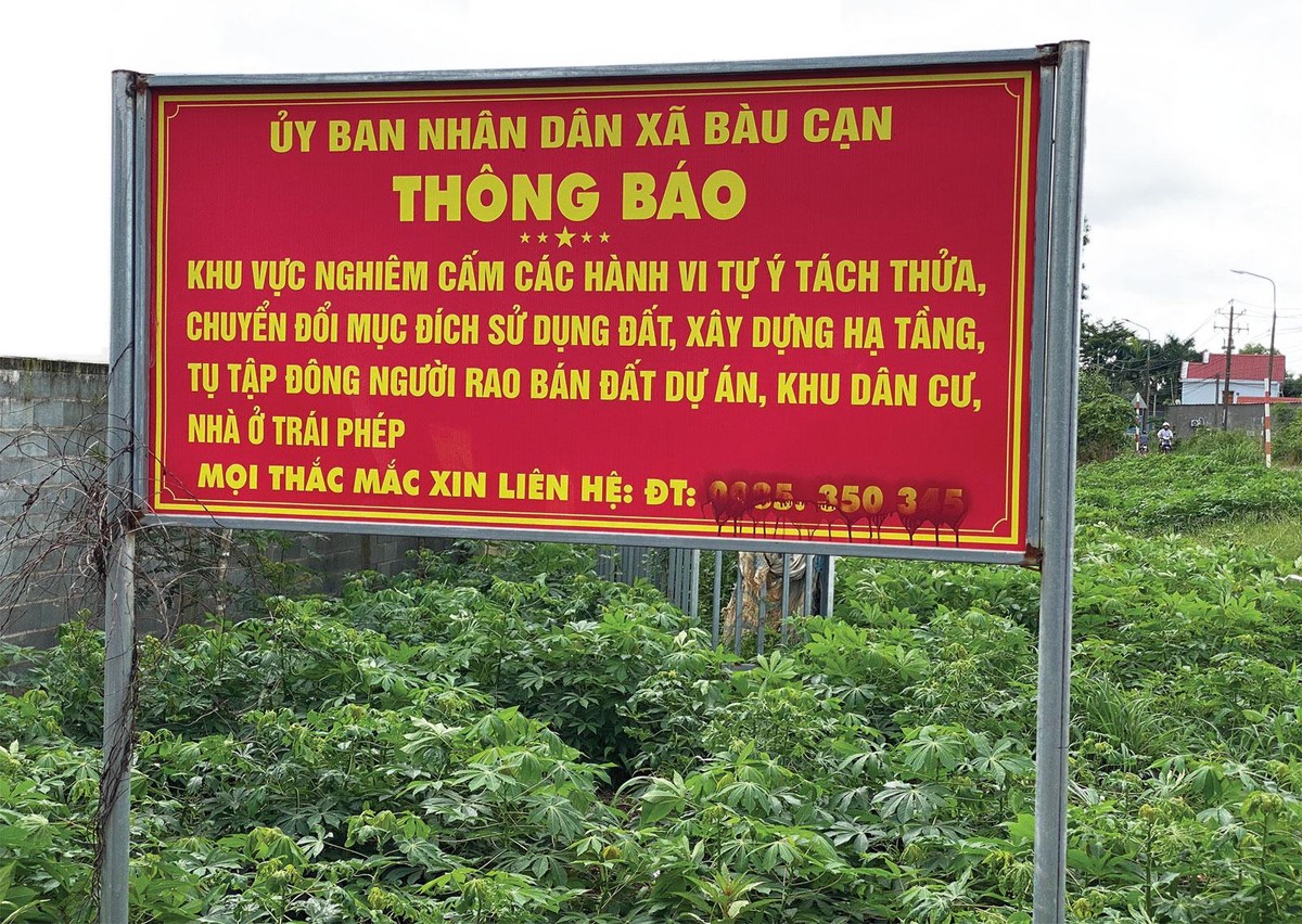 Một giải pháp chặn sốt Một giải pháp chặn sốt