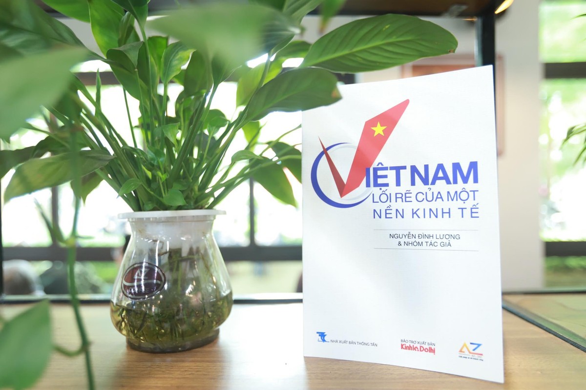 Cuốn sách "Việt Nam, lối rẽ của một nền kinh tế" gồm 3 phần Cuốn sách "Việt Nam, lối rẽ của một nền kinh tế" gồm 3 phần