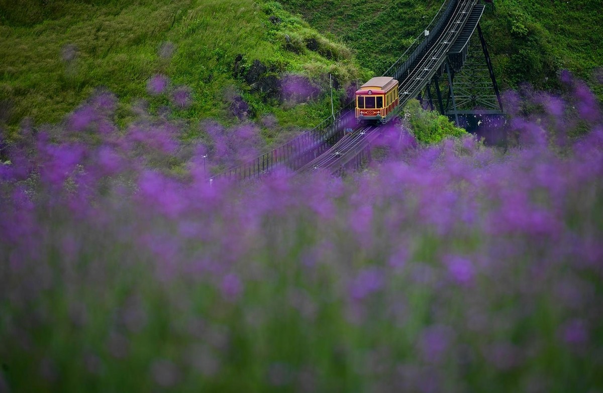 Tuyến tàu hỏa lên núi Mường Hoa được xác lập kỷ lục "Tàu hỏa leo núi dài nhất Việt Nam. Tuyến tàu hỏa lên núi Mường Hoa được xác lập kỷ lục "Tàu hỏa leo núi dài nhất Việt Nam.