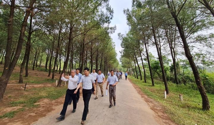 Lãnh đạo tỉnh Thừa Thiên Huế và các sở ban ngành khảo sát khu vực Đồi Vọng Cảnh. Lãnh đạo tỉnh Thừa Thiên Huế và các sở ban ngành khảo sát khu vực Đồi Vọng Cảnh.