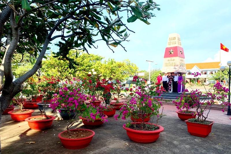 Trường Sa bây giờ không chỉ rất xanh mà còn rất đẹp. Trong đó, CLB &quot;Vì biển đảo quê hương&quot; đóng góp được một phần không nhỏ trong thành quả này. (Ảnh: Nhân vật cung cấp)