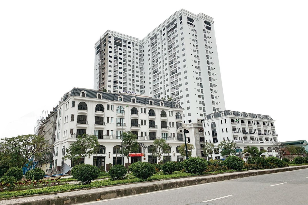 Dự án TSG Lotus Sài Đồng Dự án TSG Lotus Sài Đồng