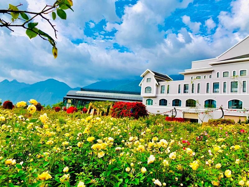 Nắng vẫn cứ vàng ruộm, mây vẫn bay, trời xanh trong mát dịu, và Sa Pa sẽ an nhiên đẹp say lòng trong ngàn vạn sắc hoa từ nay cho đến tháng 7, kịp cho một mùa hè trốn nóng ở nơi thiên đường hoa giữa lưng chừng trời.