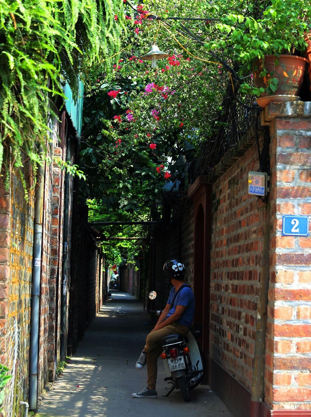 Vào mùa hè, nhất là từ tháng 5, hoa giấy rực rỡ trên những con đường, ngõ nhỏ. Vào mùa hè, nhất là từ tháng 5, hoa giấy rực rỡ trên những con đường, ngõ nhỏ.