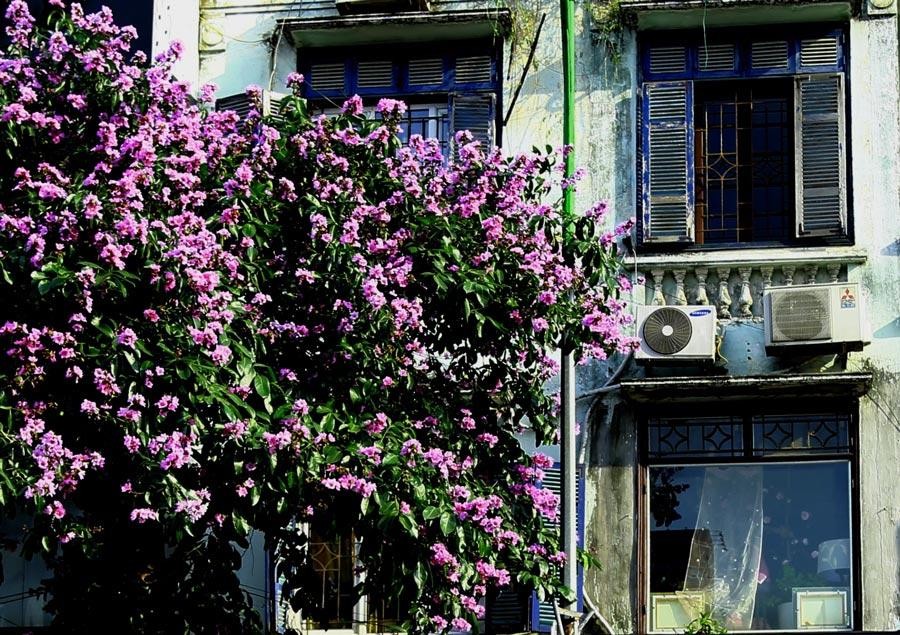 Bạn sẽ thấy nhịp sống dường như trôi chậm lại khi chạm vào những khung cửa sổ ấy.