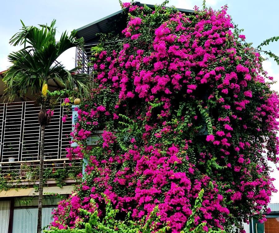 Qua mỗi khung cửa sổ, lại tìm thấy một Hà Nội thật khác biệt, nhiều sắc màu. Qua mỗi khung cửa sổ, lại tìm thấy một Hà Nội thật khác biệt, nhiều sắc màu.