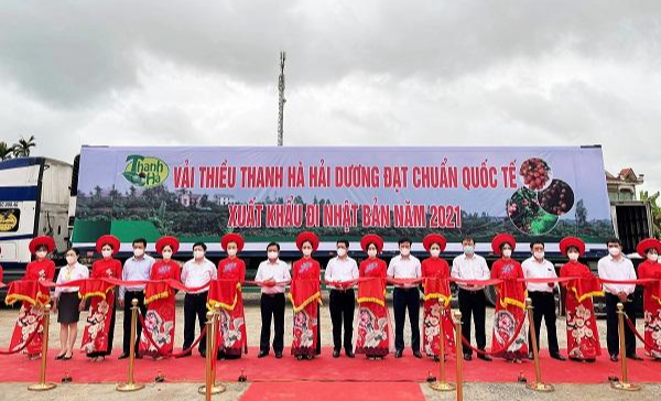 Xuất khẩu chuyến vải thiều đầu tiên đi Nhật Bản tại lễ mở vườn thu hái vải xuất khẩu ngày 18/5 Xuất khẩu chuyến vải thiều đầu tiên đi Nhật Bản tại lễ mở vườn thu hái vải xuất khẩu ngày 18/5