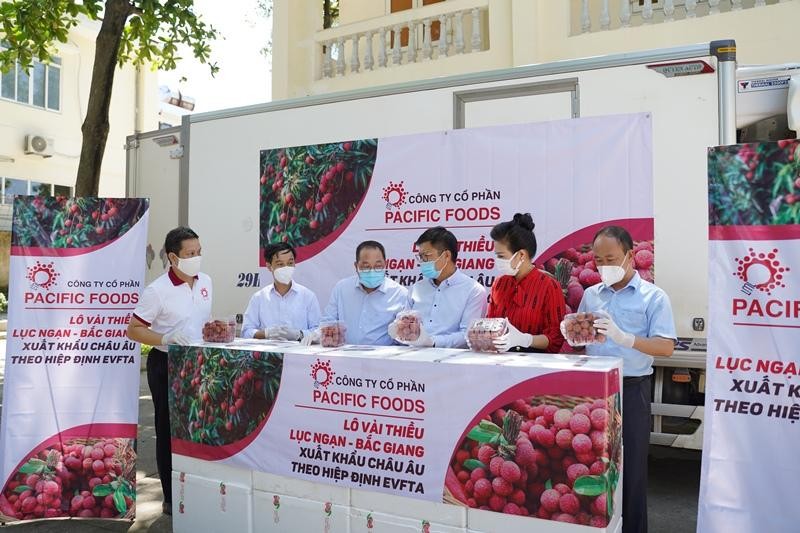 Pacific Foods xuất khẩu lô vải thiều Lục Ngạn (Bắc Giang) đầu tiên đi EU.