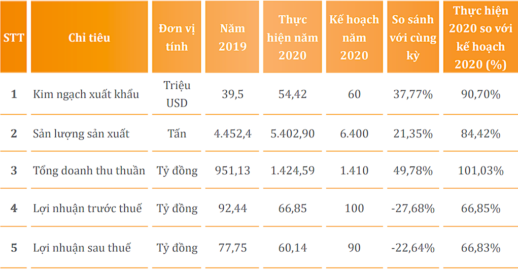Kết quả kinh doanh năm 2019 và 2020 của Camimex Group.