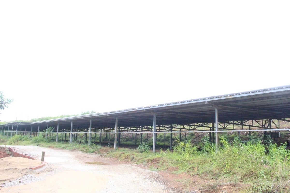 Dự án điện mặt trời nằm trên đất trang trại tại xã Tam Xuân 1. Dự án điện mặt trời nằm trên đất trang trại tại xã Tam Xuân 1.