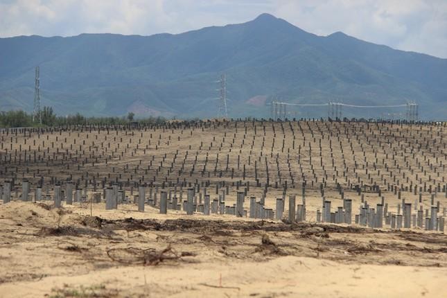 Dự án Nhà máy điện mặt trời Phù Mỹ 3 do Công ty cổ phần Phát triển tầm nhìn Năng lượng sạch làm chủ đầu tư, triển khai trên diện tích đất hơn 94,3ha (2 giai đoạn) tại 2 xã Mỹ Thắng và Mỹ An (huyện Phù Mỹ), công suất 100 MWp, tổng mức đầu tư dự kiến hơn 2.048 tỷ đồng. Ảnh T.Đ Dự án Nhà máy điện mặt trời Phù Mỹ 3 do Công ty cổ phần Phát triển tầm nhìn Năng lượng sạch làm chủ đầu tư, triển khai trên diện tích đất hơn 94,3ha (2 giai đoạn) tại 2 xã Mỹ Thắng và Mỹ An (huyện Phù Mỹ), công suất 100 MWp, tổng mức đầu tư dự kiến hơn 2.048 tỷ đồng. Ảnh T.Đ