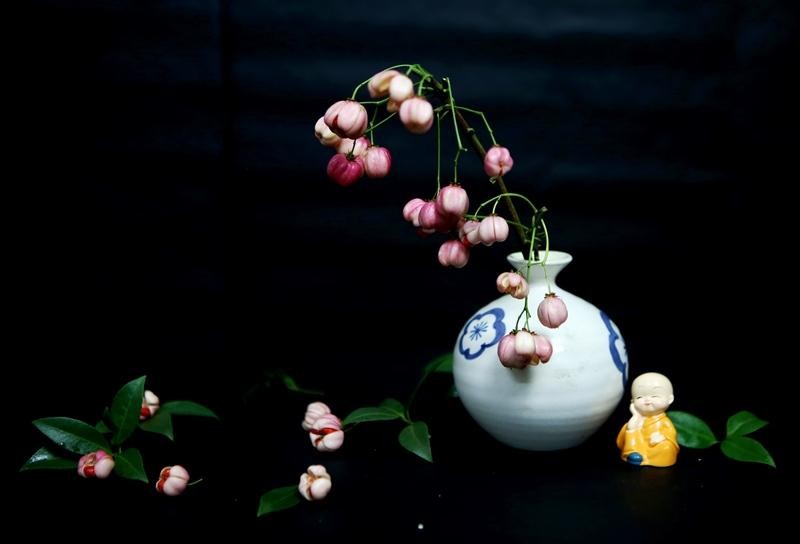 Vì cành lồng đèn mới lạ, rất xinh xắn từ màu sắc quả đến cành lá nên vẫn thu hút nhiều người mua về cắm chơi. (Ảnh: Hồ Hạ)