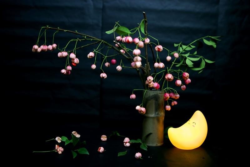 Cành lồng đèn không có mùi, nhưng lại quyến rũ khách hàng vì khi cắm vào lọ, chỉ cần thắp thêm một chiếc đèn vàng bên cạnh sẽ có một không gian đẹp lung linh, rất lãng mạn vô cùng. (Ảnh: Hồ Hạ)