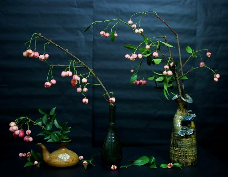 Tuy nhiên, cành đèn lồng có khuyết điểm là nếu khéo chăm sóc, cũng chỉ chơi được vài ngày, chứ không bền như các loại cành quả khác. (Ảnh: Hồ Hạ)