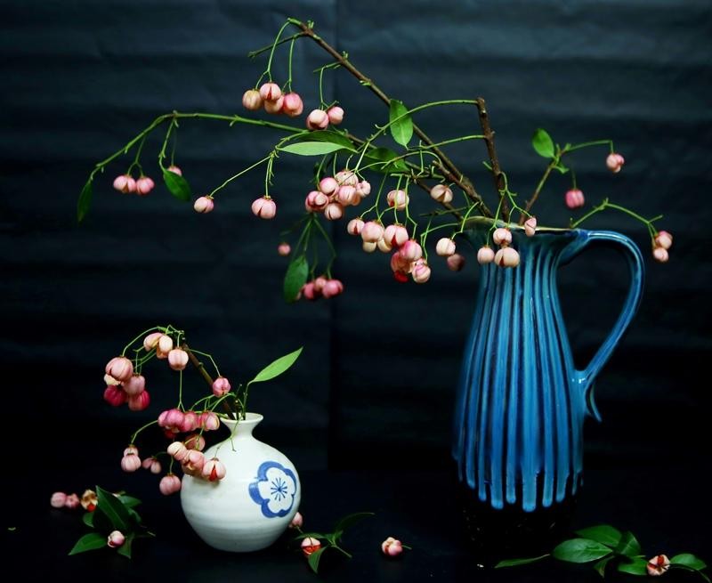 Có sở thích cắm các loại hoa, quả độc lạ theo mùa trong năm, chị Diệu Hợp (Thanh Xuân, Hà Nội) thích thú chia sẻ: “Cành lồng đèn đúng như những nàng tiểu thư. Màu sắc hồng tươi trẻ, nhẹ nhàng, quả lồng đèn nhỏ nhỏ, xinh xinh xen lẫn màu lá xanh rất lạ mắt”. (Ảnh: Hồ Hạ)