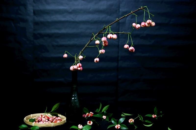 Cành quả lồng đèn có màu hồng, từng chùm quả rủ mình yểu điệu được nhiều người yêu hoa săn lùng. (Ảnh: Hồ Hạ)