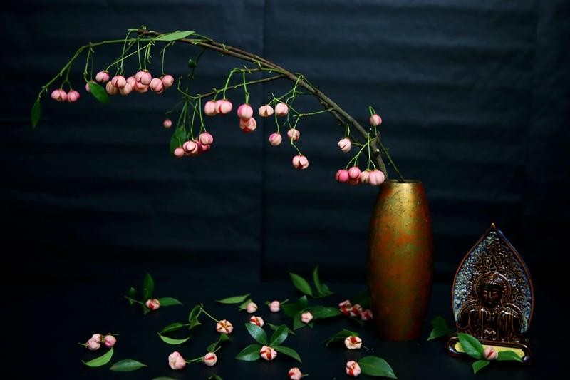 Cành quả đèn lồng màu hồng trẻ trung, quyến rũ, dáng vẻ điệu đà. (Ảnh: Hồ Hạ)