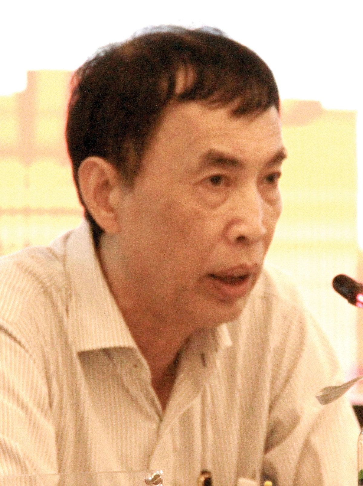 Chuyên gia kinh tế Võ Trí Thành Chuyên gia kinh tế Võ Trí Thành