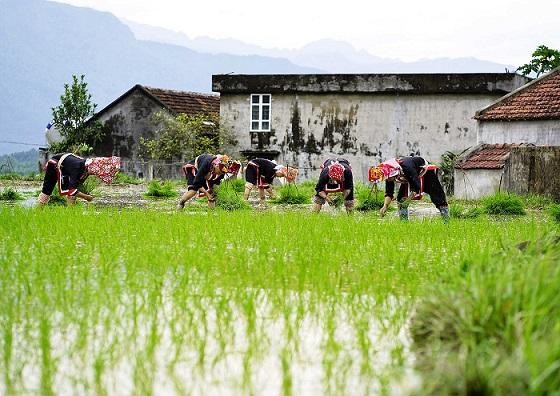 Năm 2021, Quảng Ninh dành 200 tỷ đồng để đầu tư hạ tầng thiết yếu và tạo sinh kế cho đồng bào. Ảnh: Nguồn baoquangninh.com.vn Năm 2021, Quảng Ninh dành 200 tỷ đồng để đầu tư hạ tầng thiết yếu và tạo sinh kế cho đồng bào. Ảnh: Nguồn baoquangninh.com.vn