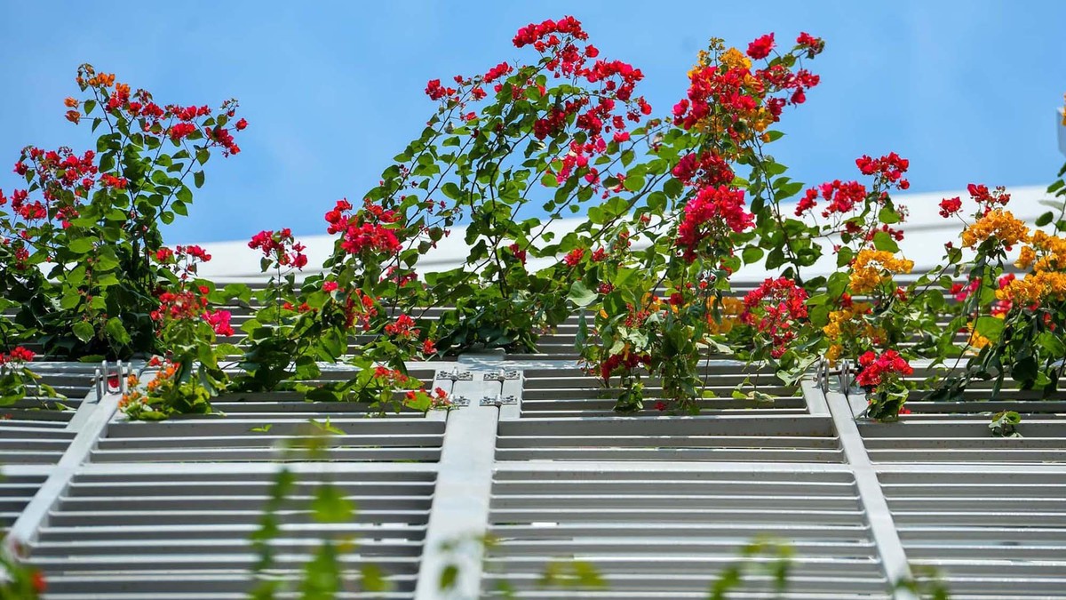 Các Nhà ga của dự án đang hoàn thiện, 2 bên phủ kín hoa giấy