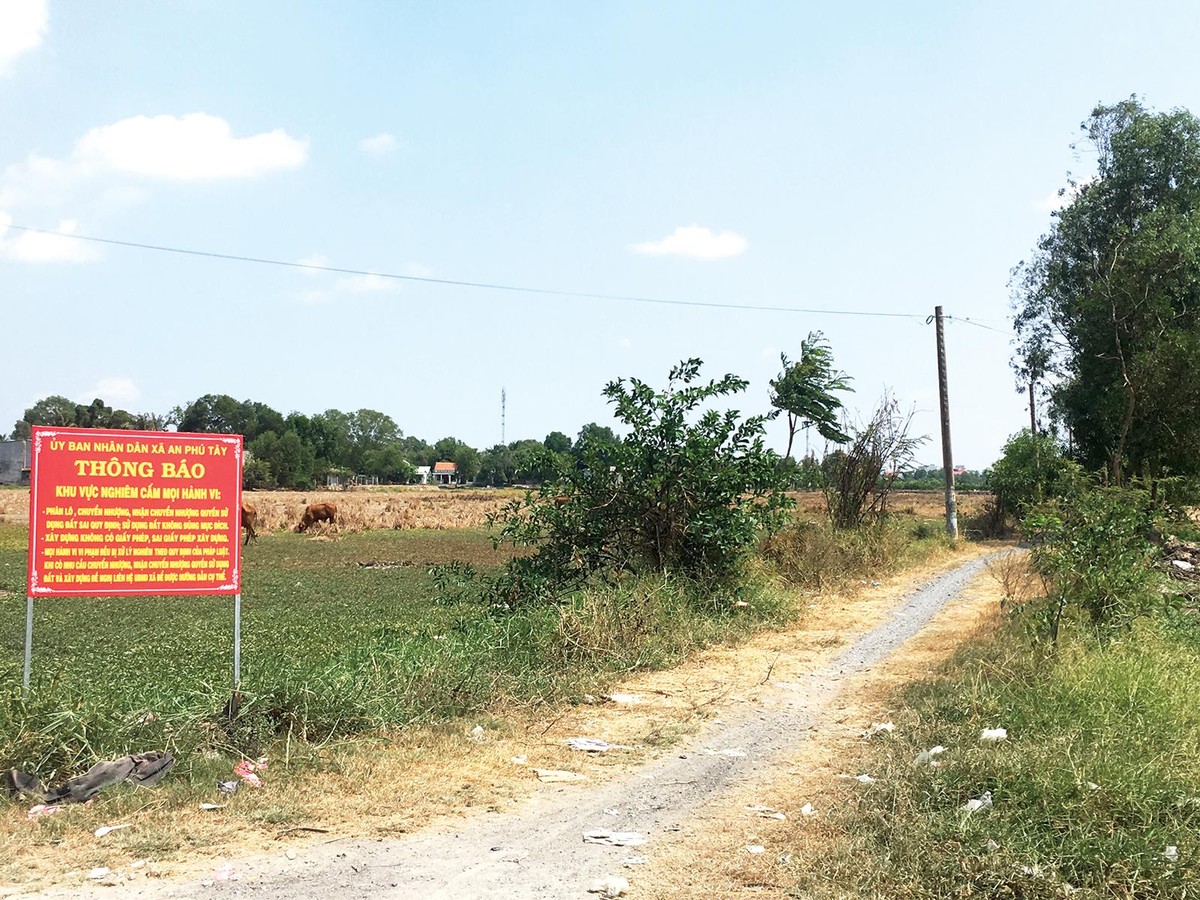 Hàng nghìn héc-ta đất lúa sẽ được chuyển đổi công năng trong những năm tới. Ảnh: Trọng Tín