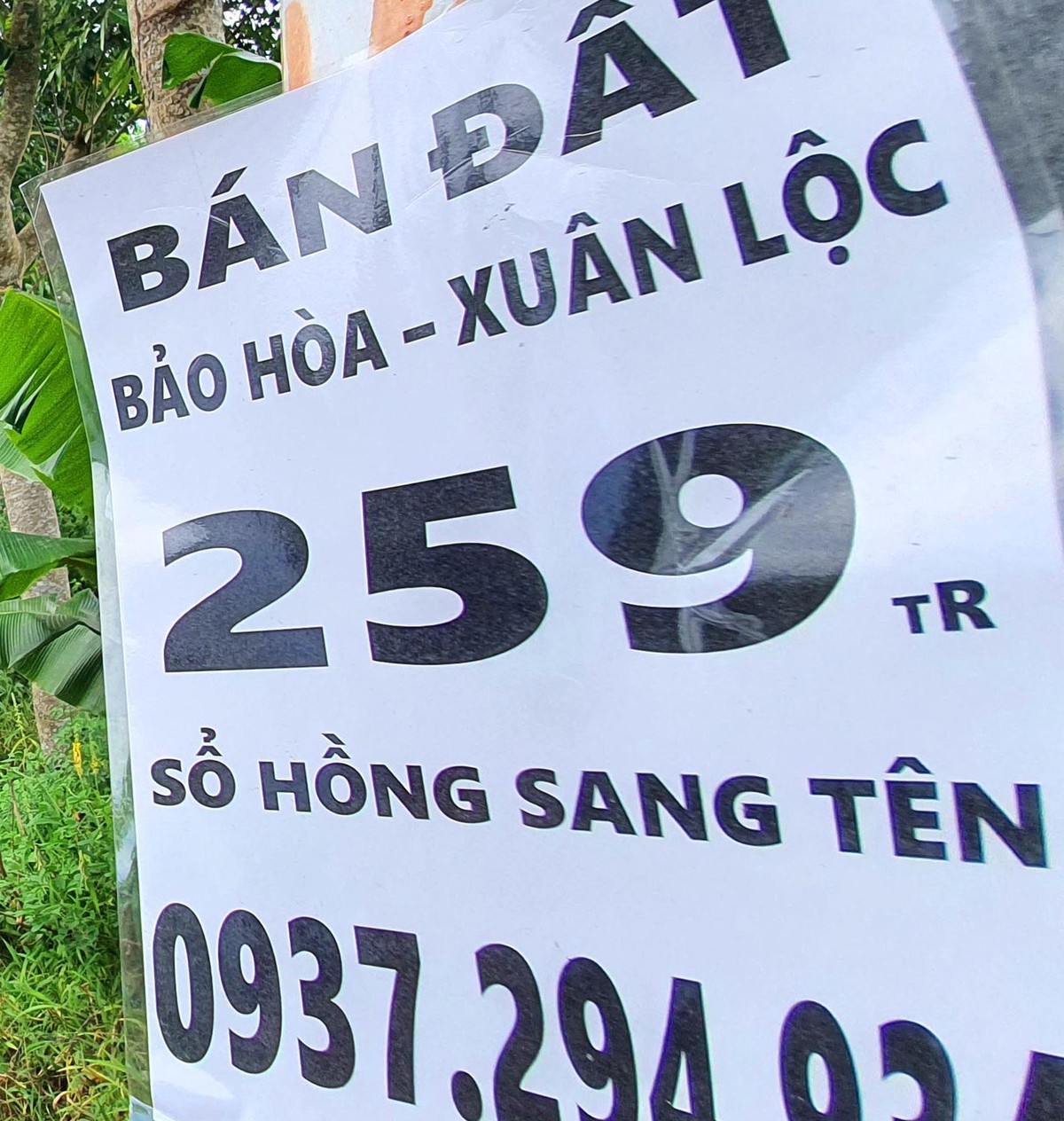 Đất nền đang rất hút khách. Ảnh: Lê Toàn