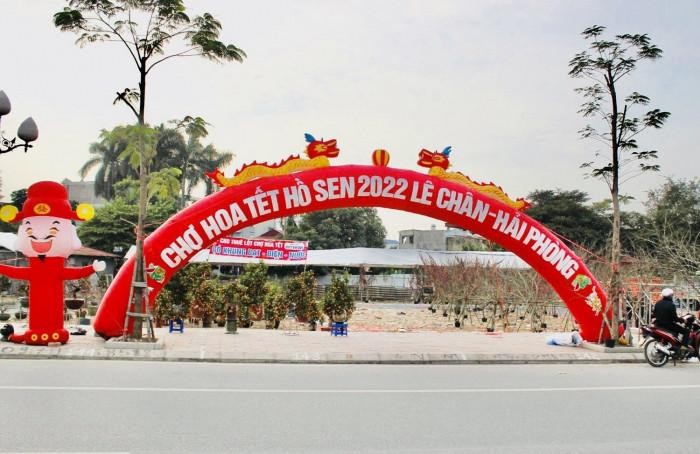 Chợ hoa Tết trên đường Hồ Sen - Võ Nguyên Giáp thuộc quận Lê Chân. Ảnh: VQ Chợ hoa Tết trên đường Hồ Sen - Võ Nguyên Giáp thuộc quận Lê Chân. Ảnh: VQ