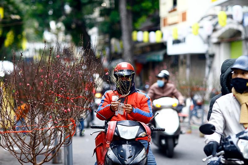 Dù bận mải đến đâu, hoặc điều kiện gia đình ở mức nào, ai cũng muốn có một cành đào dù nhỏ nhất để mong năm mới có nhiều may mắn đến với gia đình mình Dù bận mải đến đâu, hoặc điều kiện gia đình ở mức nào, ai cũng muốn có một cành đào dù nhỏ nhất để mong năm mới có nhiều may mắn đến với gia đình mình