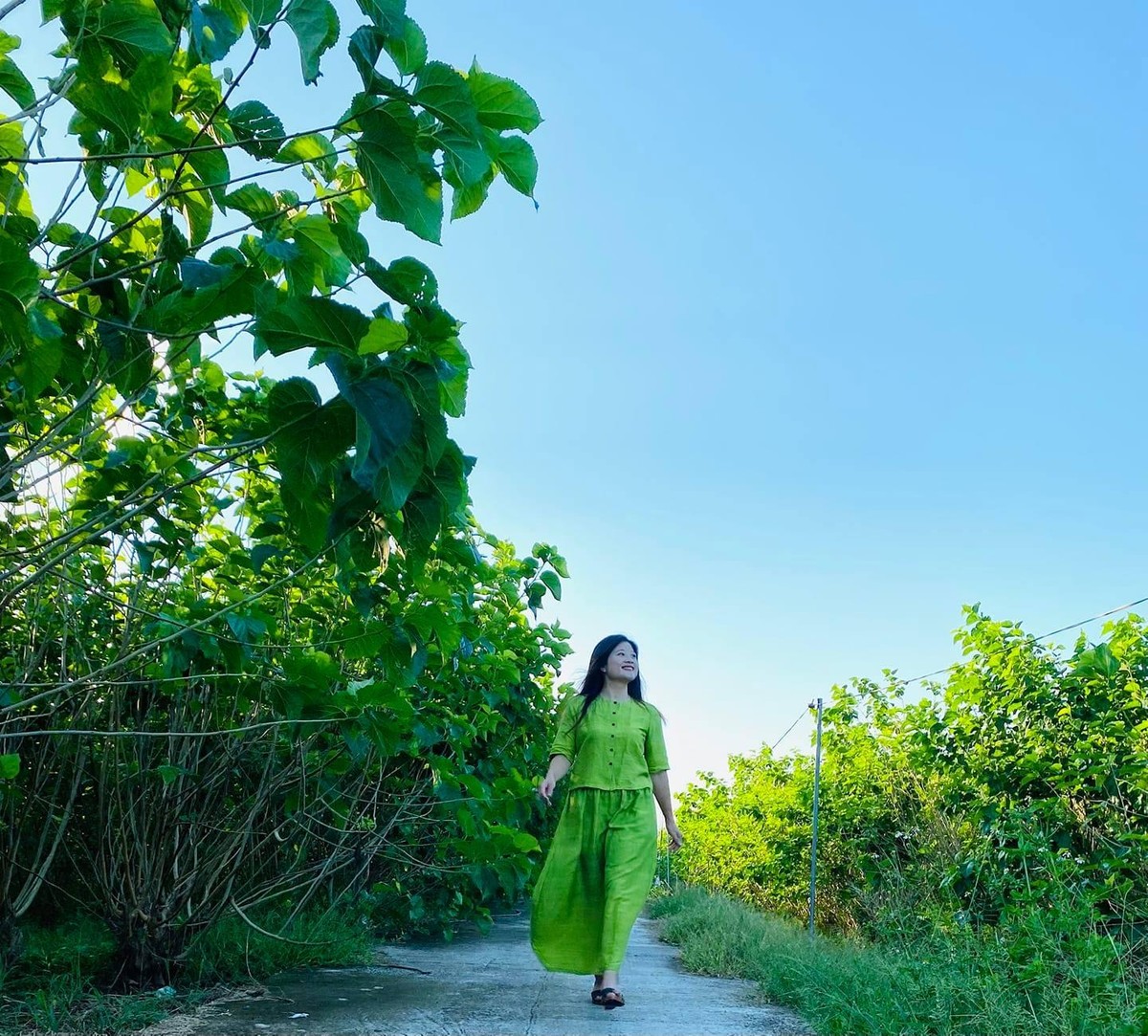 CEO Lương Thanh Hạnh đang chuẩn bị triển khai dự án lớn, đầu tư phát triển vùng nguyên liệu tại Yên Bái ngay đầu năm 2022. CEO Lương Thanh Hạnh đang chuẩn bị triển khai dự án lớn, đầu tư phát triển vùng nguyên liệu tại Yên Bái ngay đầu năm 2022.